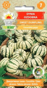 Dynia ozdobna SWEET DUMPLING Nasiona Kwiatów + TABLICZKI do opisu