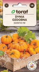 Dynia ozdobna SWEETIE PIE Nasiona + TABLICZKI do opisywania roślin