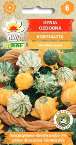Dynia ozdobna KORONIASTA + TABLICZKI do opisywania roślin