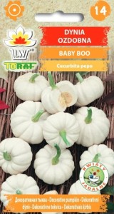 Dynia ozdobna BABY BOO + TABLICZKI do opisywania roślin