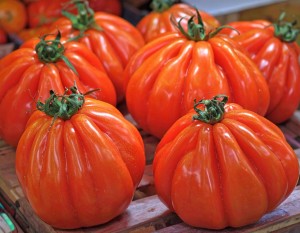 SADZONKA POMIDORA POMIDOR ARBUZOWY OR PERA D'ABRUZZO - W DONICZCE - PLENNY