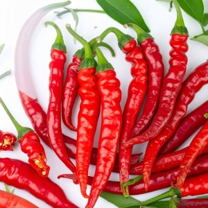 Sadzonka rozsada PAPRYKA de CAYENNE - w doniczce Aromatyczna i OSTRA