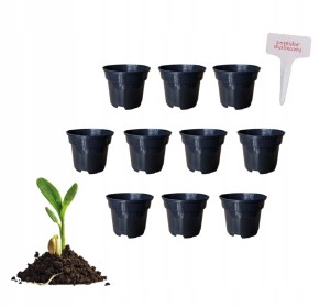 DONICZKA PRODUKCYJNA OKRĄGŁA 13cm ROZSADY UPRAWY TABLICZKA GRATIS 10szt