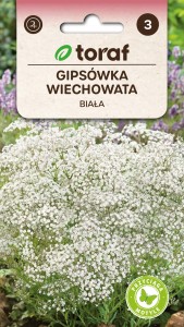 Gipsówka wiechowata biała Nasiona + TABLICZKI do opisu