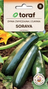Dynia zwyczajna | Cukinia SORAYA Nasiona + TABLICZKI do opisu