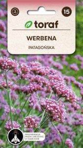 Werbena patagońska Nasiona + TABLICZKI do opisu