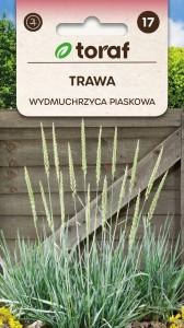 Wydmuchrzyca piaskowa Nasiona + TABLICZKI do opisu