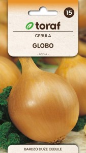 Cebula GLOBO + TABLICZKI do opisywania roślin