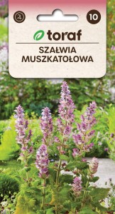 Szałwia muszkatołowa + TABLICZKI do opisu