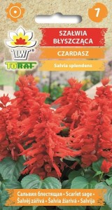 Szałwia błyszcząca CZARDASZ + TABLICZKI do opisu