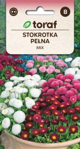 Stokrotka pełna MIX + TABLICZKI do opisu