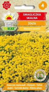 Smagliczka skalna żółta + TABLICZKI do opisu