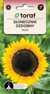 Słonecznik ozdobny TAIYO + TABLICZKI do opisu
