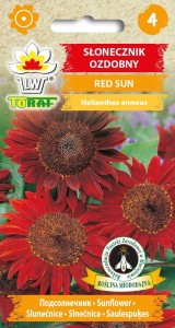 Słonecznik ozdobny RED SUN + TABLICZKI do opisu