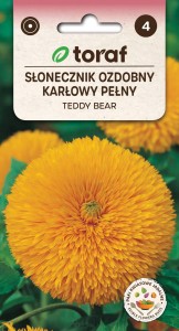 Słonecznik ozdobny pełny TEDDY BEAR + TABLICZKI do opisu