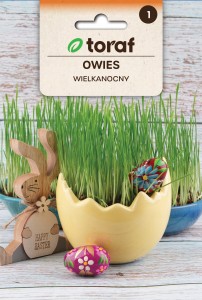 Owies wielkanocny + TABLICZKI do opisu