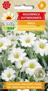 Rogownica kutnerowata biała + TABLICZKI do opisu