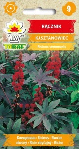 Rącznik KASZTANOWIEC + TABLICZKI do opisu