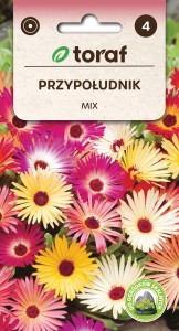 Przypołudnik MIX + TABLICZKI do opisu