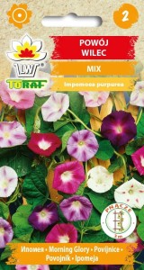 Powój wilec MIX + TABLICZKI do opisu