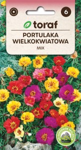 Portulaka wielkokwiatowa MIX + TABLICZKI do opisu