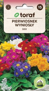 Pierwiosnek wyniosły MIX + TABLICZKI do opisu