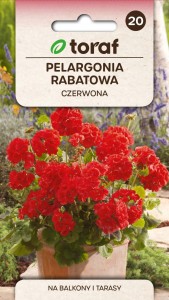 Pelargonia rabatowa CZERWONA + TABLICZKI do opisu