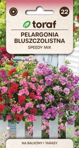 Pelargonia zwisająca SPEEDY MIX + TABLICZKI do opisu