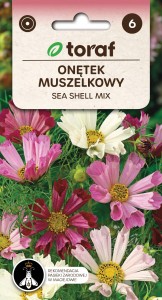 Onętek muszelkowy SEA SHELL MIX + TABLICZKI do opisu