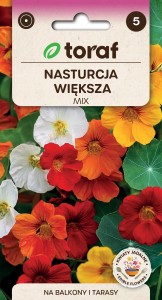 Nasturcja większa MIX + TABLICZKI do opisu