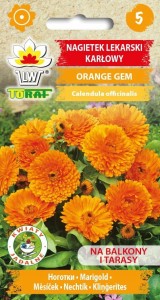 Nagietek lekarski karłowy ORANGE GEM + TABLICZKI do opisu