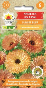 Nagietek lekarski SUNSET BUFF + TABLICZKI do opisu