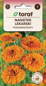 Nagietek lekarski pomarańczowy + TABLICZKI do opisu