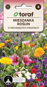 Mieszanka roślin O PACHNĄCYCH KWIATACH + TABLICZKI do opisu