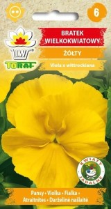 Bratek wielkokwiatowy żółty + TABLICZKI do opisu