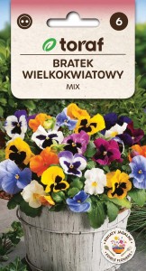 Bratek wielkokwiatowy MIX + TABLICZKI do opisu