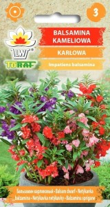Balsamina kameliowa karłowa + TABLICZKI do opisu