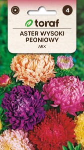 Aster wysoki peoniowy MIX + TABLICZKI do opisu