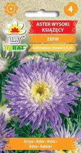 Aster wysoki książęcy ZEFIR + TABLICZKI do opisu
