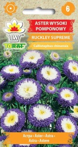 Aster wysoki pomponowy RUCKLEY SUPREME + TABLICZKI do opisu