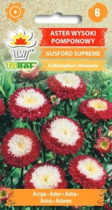 Aster wysoki pomponowy GUSFORD SUPREME + TABLICZKI do opisu