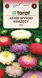 Aster wysoki książęcy MIX + TABLICZKI do opisu