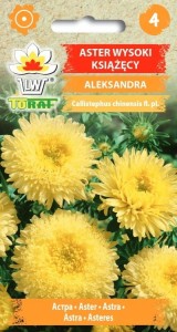 Aster wysoki książęcy ALEKSANDRA + TABLICZKI do opisu
