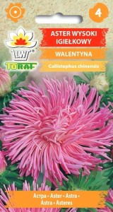 Aster wysoki igiełkowy WALENTYNA Nasiona Kwiatów + TABLICZKI do opisu