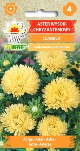 Aster wysoki chryzantemowy IZABELA Nasiona Kwiatów + TABLICZKI do opisu