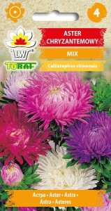 Aster chryzantemowy MIX Nasiona Kwiatów + TABLICZKI do opisu