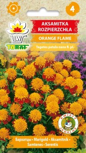 Aksamitka rozpierzchła ORANGE FLAME Nasiona Kwiatów + TABLICZKI do opisu