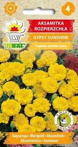 Aksamitka rozpierzchła GYPSY SUNSHINE Nasiona Kwiatów + TABLICZKI do opisu
