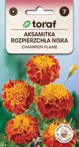 Aksamitka rozpierzchła CHAMPION FLAME Nasiona Kwiatów + TABLICZKI do opisu
