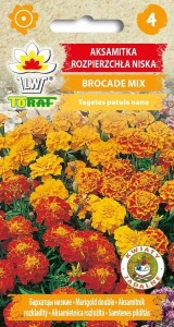 Aksamitka rozpierzchła BROCADE MIX Nasiona Kwiatów + TABLICZKI do opisu